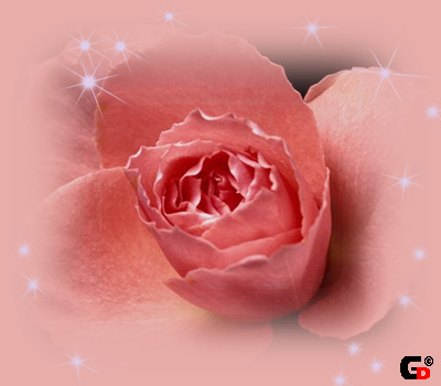 file.php?fid=10423&amp;IB2XPforum_=459571ff8cf2e5da425a1a4ac8b4d398