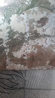4b657977-b01b-43cb-837e-364014e0cc0f.jpg, 236738 