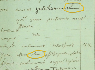 ShareX_MD2PFNsp22.png, 447886 