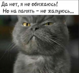 z4_OQ1XiKFI.jpg, 52867 