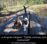 1zFdbtq5Tns.jpg, 102398 