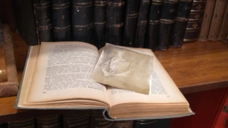   58 (6).jpg, 187980 