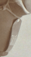  : 1903-1907.JPG