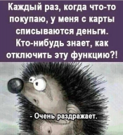 GSfXB4vDeCc.jpg, 125412 
