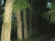 ������������� ����: PICT5582.jpg