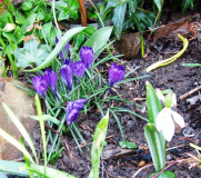 : 24.03.2012 006.jpg