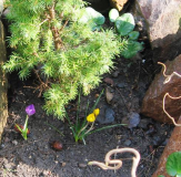 : 24.03.2012 010.jpg