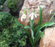  : 24.03.2012 007.jpg