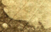 3.JPG, 13181 