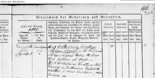  : Wilhelmine Dorothea.JPG