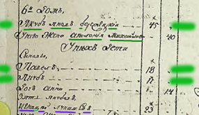  : 1795--5.jpg