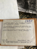  : 9b272286-1b7a-4225-b985-536b7d6b9506.jpeg