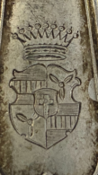 B127A44D-0812-4D1D-908C-E49113C16025c.png, 1429987 