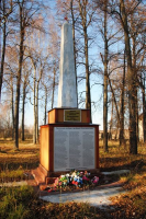  : zaunzhe083.jpg
