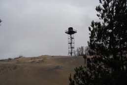  : DSC_0063_ .JPG