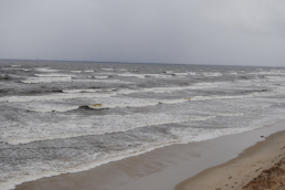  : DSC_0083_ .JPG