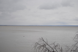  : DSC_0038_ .JPG