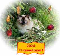  : New Year 2024.jpg