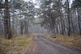  : DSC_0012_ .JPG