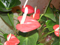  : 124.jpg