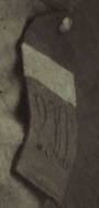  : 001-5_cr_cr_cr- 2.1_cr FS-180.png-cswry-seesr.png