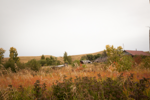  : 220915_Ivanovo-Podbelskoe-8612.jpg
