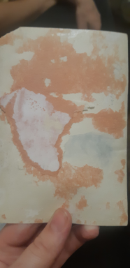  : 20240116_175637.jpg