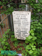  : orlov-adam1.jpg