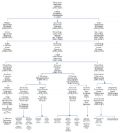  : Monosnap dvoryanskiy-rod-butorovyh-v-xix-veke-materialy-genealogicheskogo-issledovaniya.pdf 2024-02-05 13-36-12.png