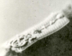  : img071-1.jpg