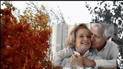  : 125.webp