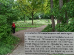 : Kopie von Kopie von SAM_0106.JPG