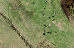 Seliste .jpg, 133016 