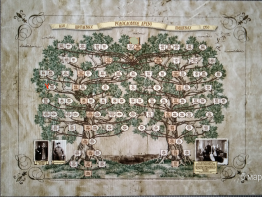  : P_20240305_235611_p.jpg