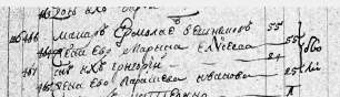 1771 _.jpg, 335288 