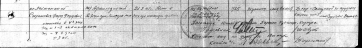  : filterimage 11.jpg