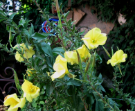  : 03.08.2011 018.jpg
