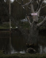 6RmxDKvWTfQ.jpg, 496070 