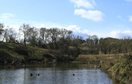  : Screenshot_2024-03-19-16-29-52-54_99c04817c0de5652397fc8b56c3b3817.jpg