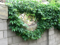 ������������� ����: 25.05.2012 033.jpg