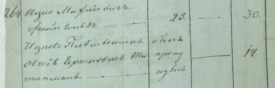  :  1811.jpg
