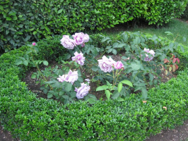 ������������� ����: ���� 2010 ������� ����.jpg