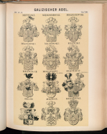  : J._Siebmacher's_grosses_und_allgemeines_Wappenbuch._Der_Adel_von_Galizien,_Ladomerien_und_der_Bukowina,_1905,_Taf._204.jpg