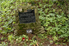 krikun_2.jpg, 544176 