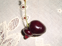  : PICT0470.JPG