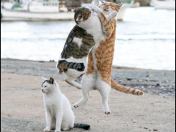  : IMG_3197.png
