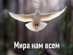  : IMG_3207.png