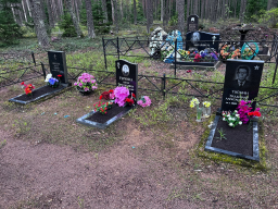  : IMG_2595.jpeg