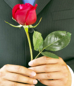  : redroseforyousize1024x7.jpg