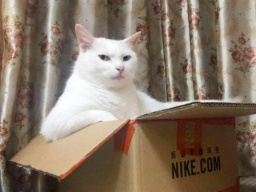  : IMG_3223.png
